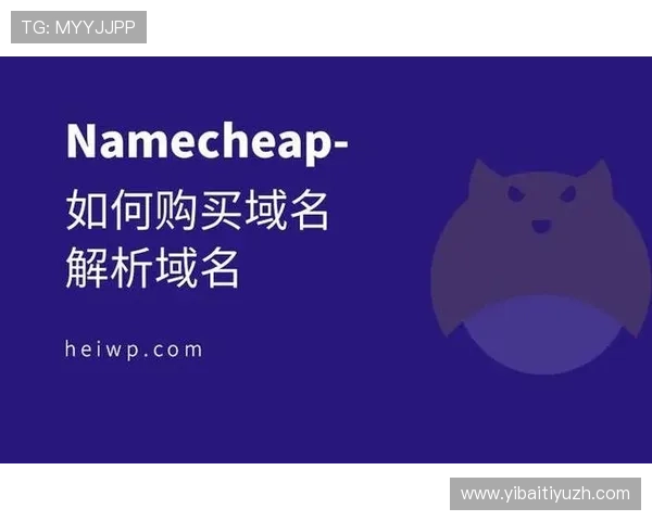 完美正规官网：选择优质域名与安全托管保障网站稳定运行