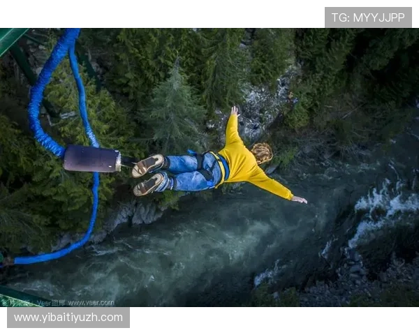 多米体育游戏的用户评价与口碑分析，选择最佳体育游戏体验