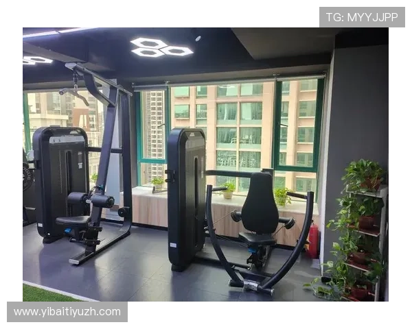 顶胜体育：为每位用户提供个性化健身方案